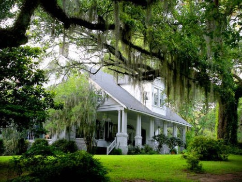 Glenfield Plantation 